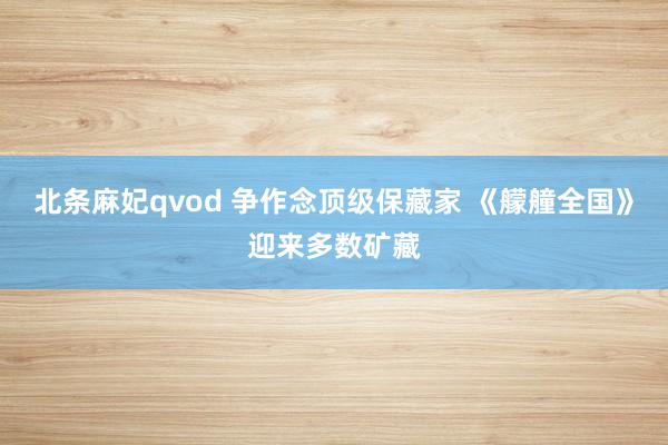 北条麻妃qvod 争作念顶级保藏家 《艨艟全国》迎来多数矿藏