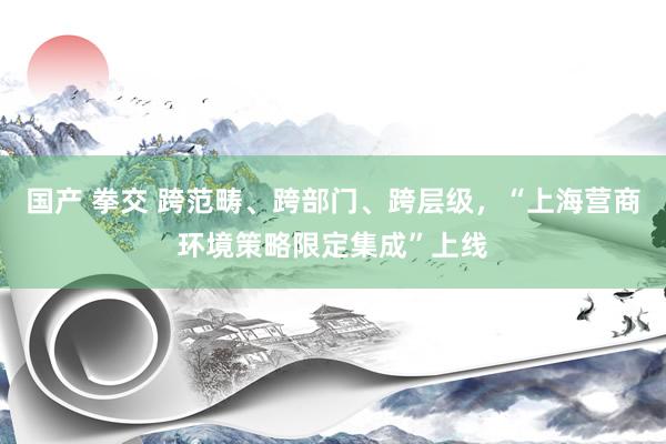 国产 拳交 跨范畴、跨部门、跨层级，“上海营商环境策略限定集成”上线