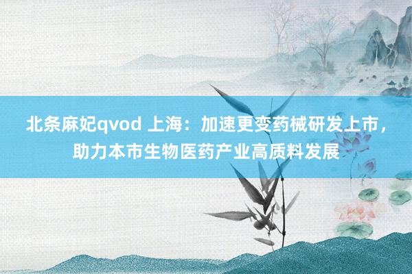 北条麻妃qvod 上海：加速更变药械研发上市，助力本市生物医药产业高质料发展