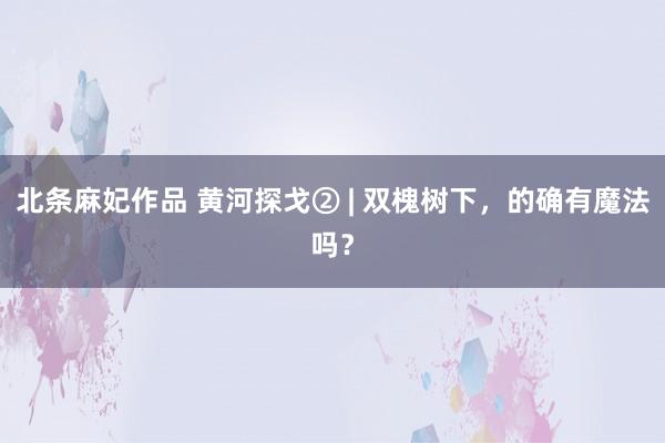 北条麻妃作品 黄河探戈② | 双槐树下，的确有魔法吗？