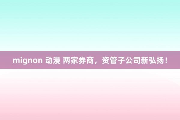 mignon 动漫 两家券商，资管子公司新弘扬！