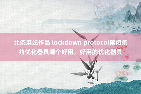 北条麻妃作品 lockdown protocol禁闭条约优化器具哪个好用，好用的优化器具