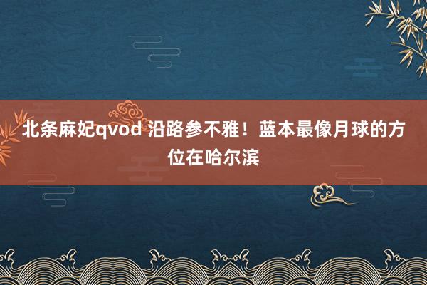 北条麻妃qvod 沿路参不雅！蓝本最像月球的方位在哈尔滨