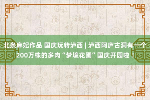 北条麻妃作品 国庆玩转泸西 | 泸西阿庐古洞有一个200万株的多肉“梦境花圃”国庆开园啦 ！