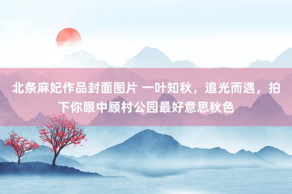 北条麻妃作品封面图片 一叶知秋，追光而遇，拍下你眼中顾村公园最好意思秋色