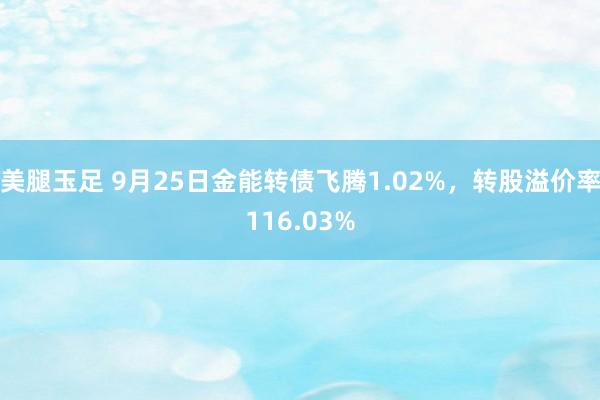 美腿玉足 9月25日金能转债飞腾1.02%，转股溢价率116.03%