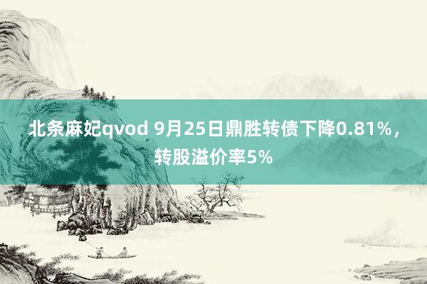 北条麻妃qvod 9月25日鼎胜转债下降0.81%，转股溢价率5%