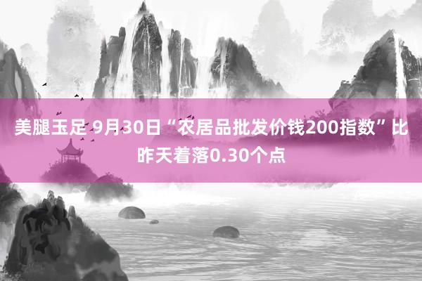 美腿玉足 9月30日“农居品批发价钱200指数”比昨天着落0.30个点