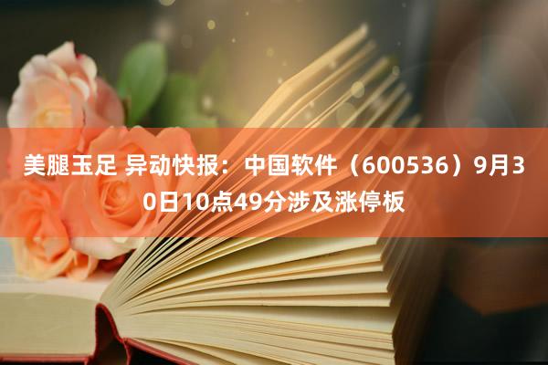 美腿玉足 异动快报：中国软件（600536）9月30日10点49分涉及涨停板