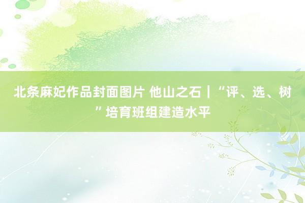 北条麻妃作品封面图片 他山之石｜“评、选、树”培育班组建造水平