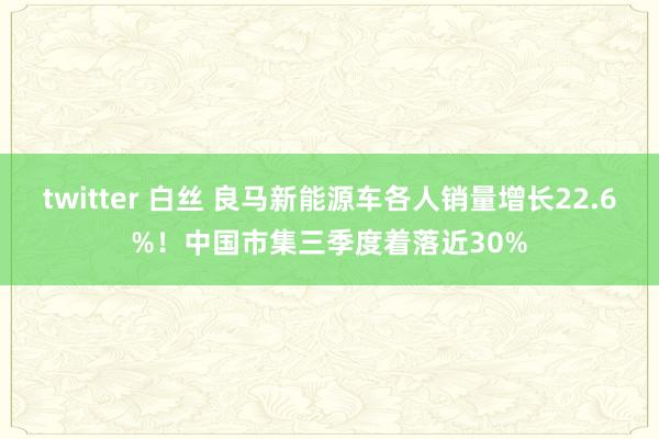 twitter 白丝 良马新能源车各人销量增长22.6%！中国市集三季度着落近30%