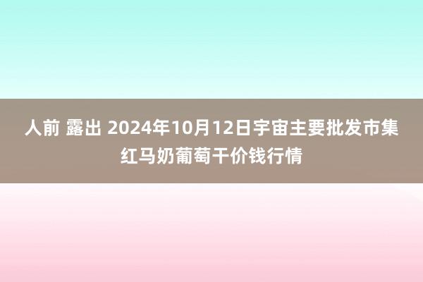 人前 露出 2024年10月12日宇宙主要批发市集红马奶葡萄干价钱行情