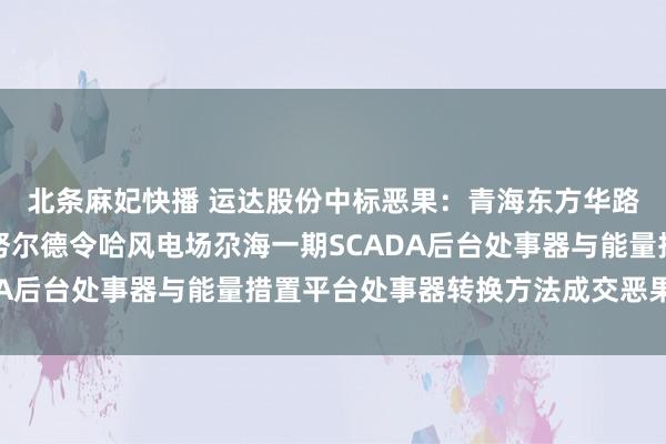 北条麻妃快播 运达股份中标恶果：青海东方华路新动力投资有限公司努尔德令哈风电场尕海一期SCADA后台处事器与能量措置平台处事器转换方法成交恶果公告