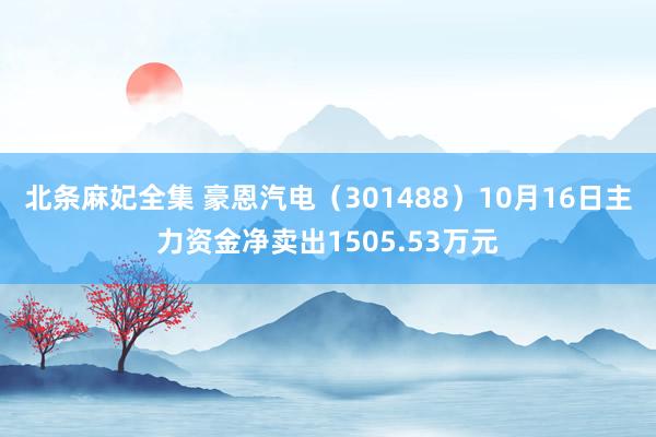 北条麻妃全集 豪恩汽电（301488）10月16日主力资金净卖出1505.53万元