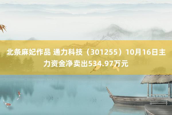 北条麻妃作品 通力科技（301255）10月16日主力资金净卖出534.97万元