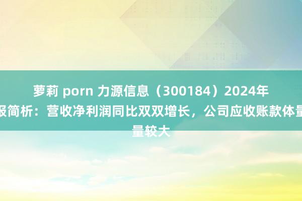 萝莉 porn 力源信息（300184）2024年三季报简析：营收净利润同比双双增长，公司应收账款体量较大