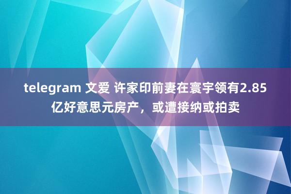 telegram 文爱 许家印前妻在寰宇领有2.85亿好意思元房产，或遭接纳或拍卖