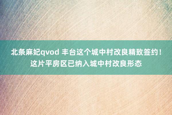 北条麻妃qvod 丰台这个城中村改良精致签约！这片平房区已纳入城中村改良形态