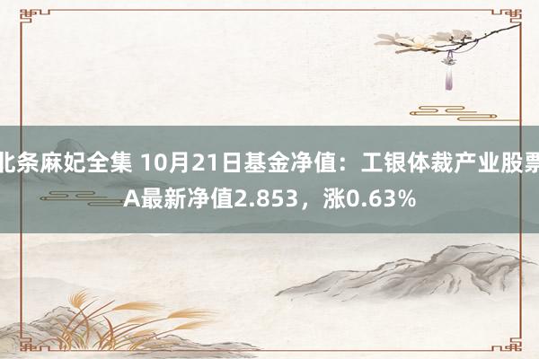 北条麻妃全集 10月21日基金净值：工银体裁产业股票A最新净值2.853，涨0.63%