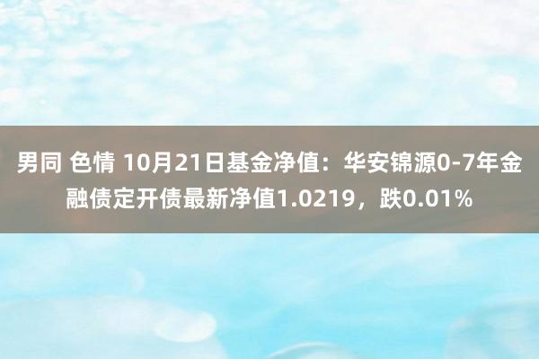 男同 色情 10月21日基金净值：华安锦源0-7年金融债定开债最新净值1.0219，跌0.01%