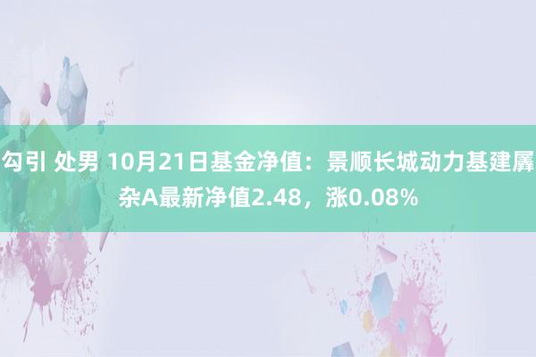 勾引 处男 10月21日基金净值：景顺长城动力基建羼杂A最新净值2.48，涨0.08%