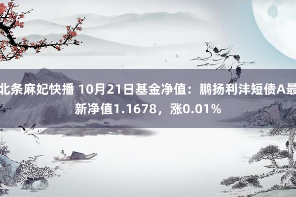 北条麻妃快播 10月21日基金净值：鹏扬利沣短债A最新净值1.1678，涨0.01%