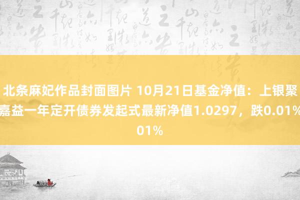 北条麻妃作品封面图片 10月21日基金净值：上银聚嘉益一年定开债券发起式最新净值1.0297，跌0.01%