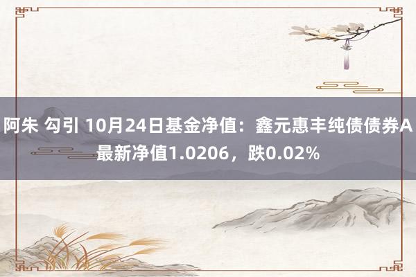 阿朱 勾引 10月24日基金净值：鑫元惠丰纯债债券A最新净值1.0206，跌0.02%