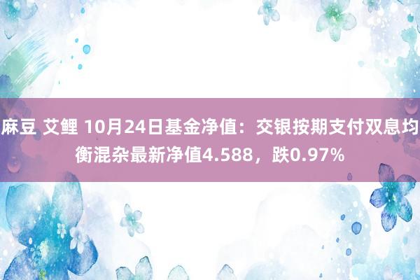 麻豆 艾鲤 10月24日基金净值：交银按期支付双息均衡混杂最新净值4.588，跌0.97%