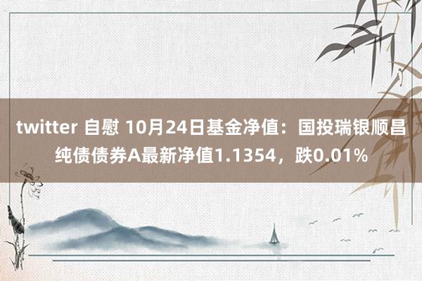 twitter 自慰 10月24日基金净值：国投瑞银顺昌纯债债券A最新净值1.1354，跌0.01%