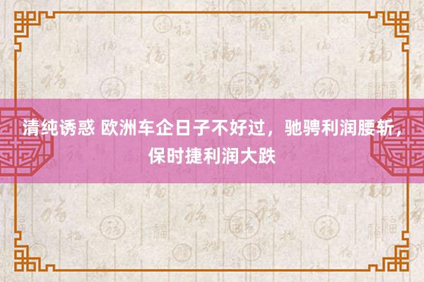 清纯诱惑 欧洲车企日子不好过，驰骋利润腰斩，保时捷利润大跌