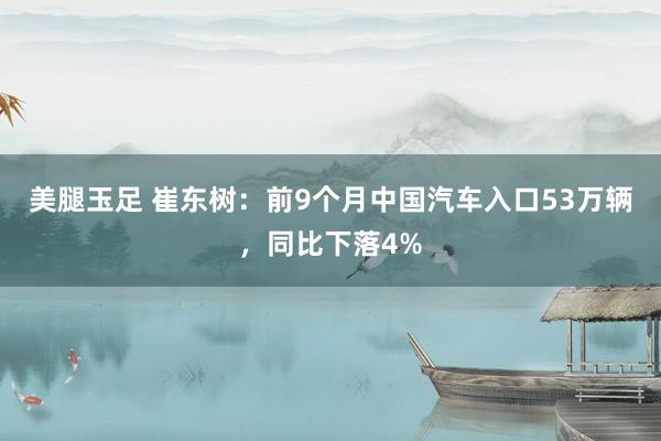 美腿玉足 崔东树：前9个月中国汽车入口53万辆，同比下落4%