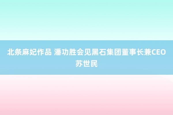 北条麻妃作品 潘功胜会见黑石集团董事长兼CEO苏世民