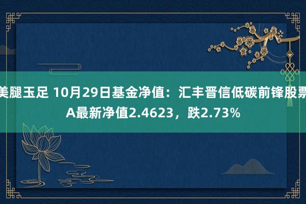 美腿玉足 10月29日基金净值：汇丰晋信低碳前锋股票A最新净值2.4623，跌2.73%