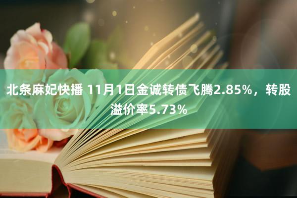 北条麻妃快播 11月1日金诚转债飞腾2.85%，转股溢价率5.73%