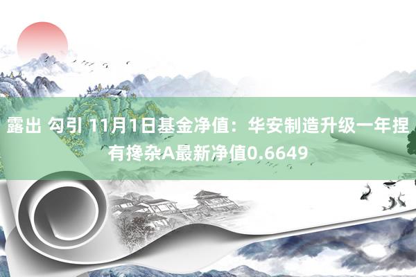 露出 勾引 11月1日基金净值：华安制造升级一年捏有搀杂A最新净值0.6649