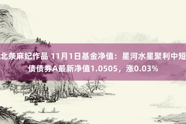 北条麻妃作品 11月1日基金净值：星河水星聚利中短债债券A最新净值1.0505，涨0.03%