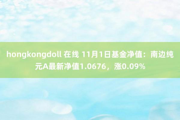 hongkongdoll 在线 11月1日基金净值：南边纯元A最新净值1.0676，涨0.09%