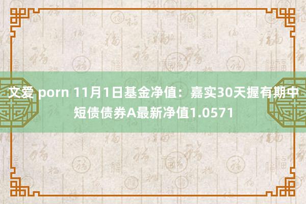 文爱 porn 11月1日基金净值：嘉实30天握有期中短债债券A最新净值1.0571