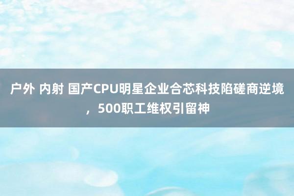 户外 内射 国产CPU明星企业合芯科技陷磋商逆境，500职工维权引留神