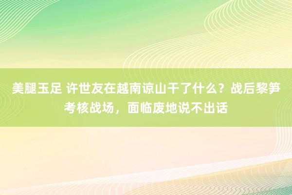 美腿玉足 许世友在越南谅山干了什么？战后黎笋考核战场，面临废地说不出话