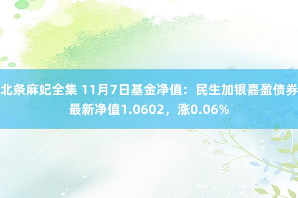 北条麻妃全集 11月7日基金净值：民生加银嘉盈债券最新净值1.0602，涨0.06%