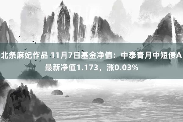 北条麻妃作品 11月7日基金净值：中泰青月中短债A最新净值1.173，涨0.03%