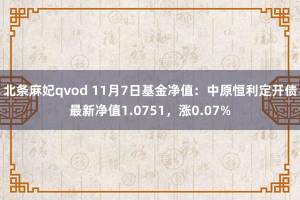 北条麻妃qvod 11月7日基金净值：中原恒利定开债最新净值1.0751，涨0.07%