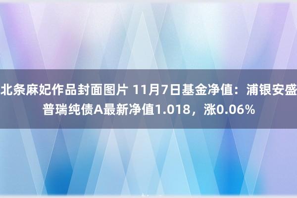 北条麻妃作品封面图片 11月7日基金净值：浦银安盛普瑞纯债A最新净值1.018，涨0.06%