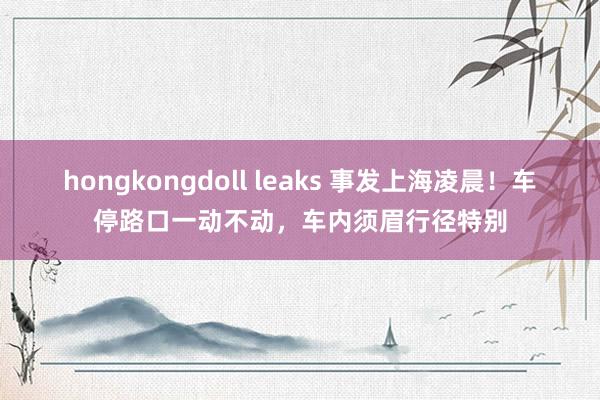 hongkongdoll leaks 事发上海凌晨！车停路口一动不动，车内须眉行径特别