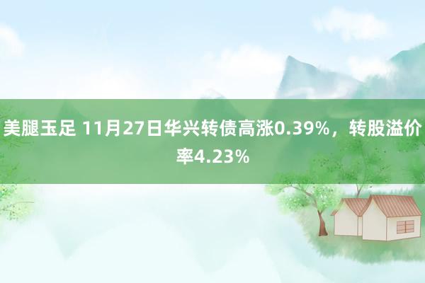 美腿玉足 11月27日华兴转债高涨0.39%，转股溢价率4.23%