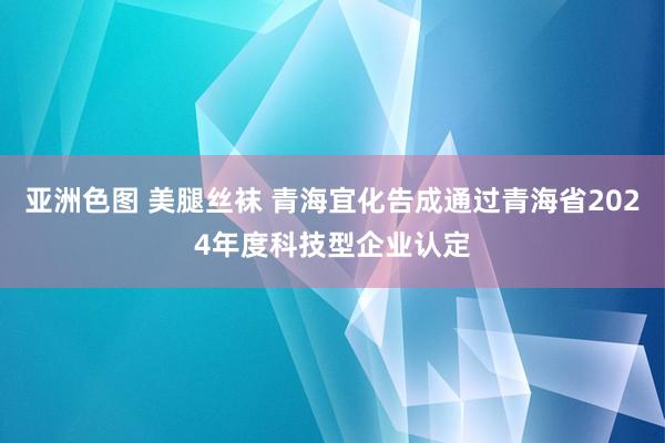 亚洲色图 美腿丝袜 青海宜化告成通过青海省2024年度科技型企业认定