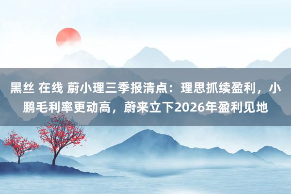 黑丝 在线 蔚小理三季报清点：理思抓续盈利，小鹏毛利率更动高，蔚来立下2026年盈利见地