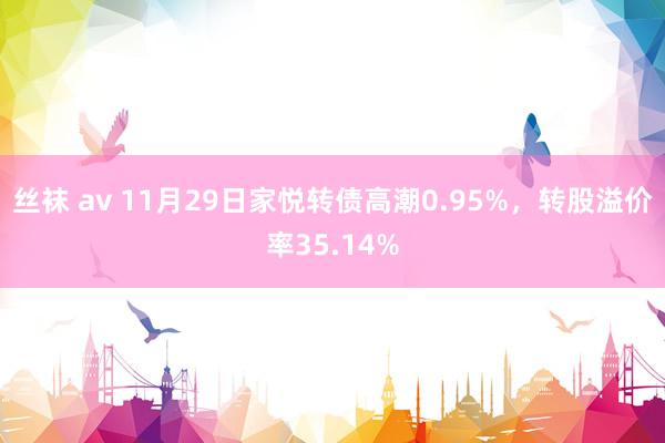 丝袜 av 11月29日家悦转债高潮0.95%，转股溢价率35.14%